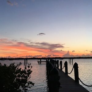 Meet your Posher, Alayna